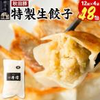 小籠包のような肉餃子 豚肉使用 12個入×4袋
