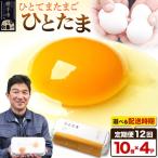 赤ひとたま 40個