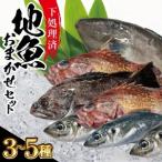 SB0522 地魚おまかせセット 下処理済 計1kg以上