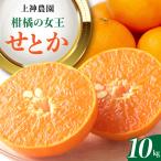 先行受付 2027年2月初旬~発送 せとか 約10kg