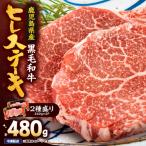 2622 4等級以上 産黒毛和牛ヒレステーキ2種盛り480g