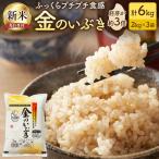 金のいぶき 6kg