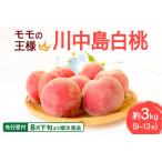 ふるさと納税 《先行受付!8月下旬より順次発送》モモの王様 川中島白桃 約3kg(9〜13玉前後) 秋田県横手市