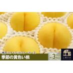 ふるさと納税 9月上旬より発送 季節の黄色い桃 約3kg(黄貴妃) 秋田県横手市