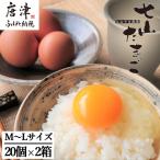 放し飼い 七山たまご 20個箱×2 合計40個