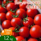 フルーツミニトマト くれまるこ 1.2kg