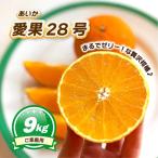 ご 愛果28号 紅まどんな と同品種 約9kg