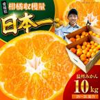 みかん 10kg