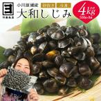 砂抜き済みで手間いらず 冷凍 小川原湖産大和しじみ4kg 500…