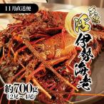 11月直送便 土佐獲れ 活伊勢海老 約700 800g