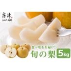 ショッピング梨 ふるさと納税 『予約受付』今が食べ頃 特栽 旬の梨5kg【令和6年の夏ごろの発送】 佐賀県唐津市