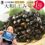 砂抜き済みで手間いらず 冷凍 小川原湖産大和しじみ1kg 250…