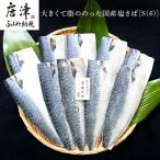 大きくて脂ののった 塩さば 150g×10枚