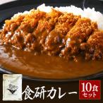 食研カレー200g×10袋
