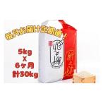 令和8年産魚沼産新之助 精米5kg