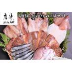 ふるさと納税 グルメ大賞受賞 唐津産 旬のひもの三昧セット 唐津産 旬サバ 旬アジみりん 金時鯛一夜干し(旬の白身魚干物)呼子 イカ一夜干し 大分.. 佐賀県唐津市