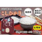 令和6年度産 こしひかり 6kg