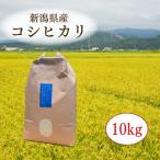 五泉産コシヒカリ 白山そだち 5kg×2袋