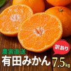 農家直送 有田 みかん 訳あり 7.5kg