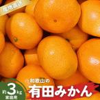 有田みかん 和歌山 訳あり わけあり S~Lサイズ