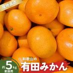 有田みかん 和歌山 訳あり わけあり S~Lサイズ