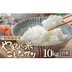 米 コシヒカリ 10kg