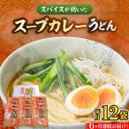 スープカレーうどん 12食