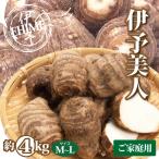 里芋 4kg