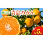 ふるさと納税 青島みかん（5kg）12月下旬から発送 N050-YA2274 宮崎県延岡市