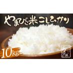 米 コシヒカリ 10kg