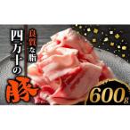 豚肉切り落とし600g