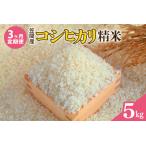 令和8年度 笠間産 コシヒカリ 5kg