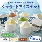 yamahatsu 詰合せジェラートアイスセット 4個入