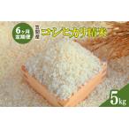 令和8年度 笠間産 コシヒカリ 5kg
