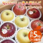 旬のおいしい奥久慈りんご食べ比べ 約5kg ※2026年10月中旬頃発送開始予定 林檎 アップル 詰合せ