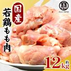 若鶏もも肉 約12kg