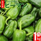 fu.... налог [..... налог ][2026 год 5 месяц последняя декада после отправка ]< зеленый перец >1kg... Kochi овощи лето ... маленький Sagawa блок производство [ рефрижератор ] Kochi префектура Sagawa блок 