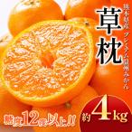 温州みかん 草枕 約4kg