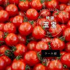 ミニトマト 玉宝 3kg