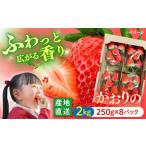 いちご 2kg