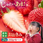いちご 2kg