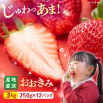 いちご 3kg