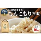 環境配慮 魚津のてんこもり 晃米 10kg