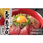 天然本マグロ中トロ&赤身二種盛り MATB006