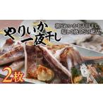 やりいか一夜干し 2枚