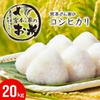 新米 宮本さん家のこしひかり 20kg