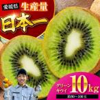 フルーツ 詰め合わせ みかん キウイ 各10kg