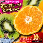 フルーツ 詰め合わせ みかん キウイ 各5kg