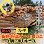 鳥取網代港 浜茹で 松葉ガニ セコガニ 中 ※お届けは2026年1…