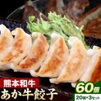 fu.... налог Kumamoto мир корова .. корова гёдза 60 шт Kumamoto префектура лед река блок 